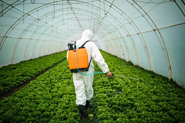Best Commercial Pest Control Services  in Aurora, NE