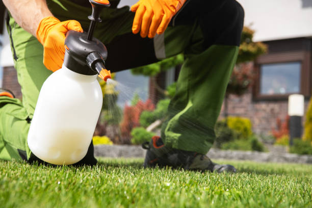 Professional Pest Control in Aurora, NE