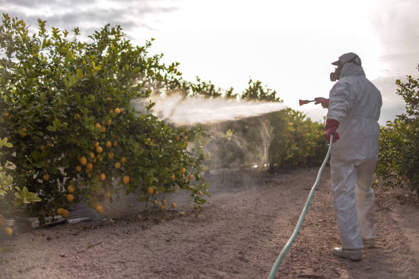 Best Pest Control Treatment  in Aurora, NE
