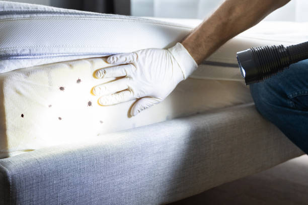 Best Cockroach Control Services  in Aurora, NE