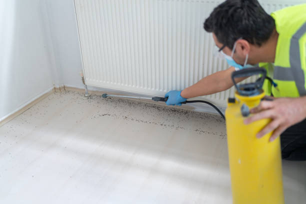 Best Mosquito Control Services  in Aurora, NE
