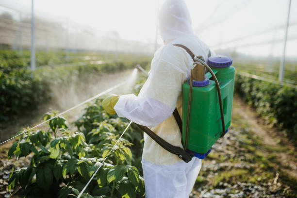 Best Affordable Pest Control Services  in Aurora, NE